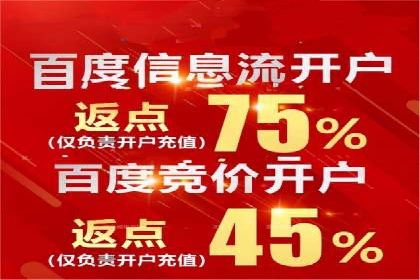 案例解析：网络推广竞价技巧